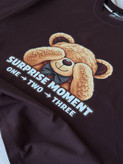 تیشرت surprise teddy ماکان گرم بالا